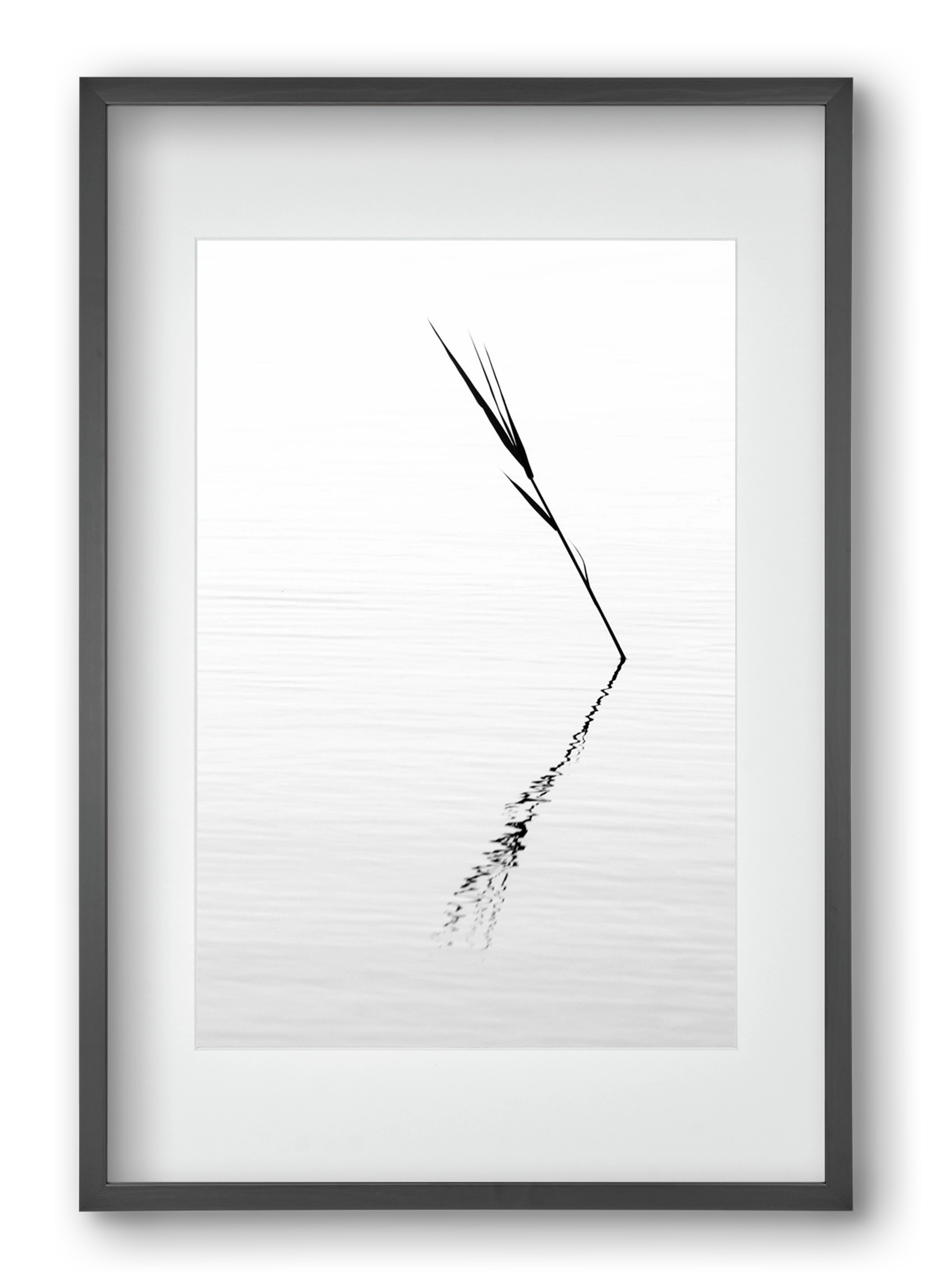 Minimál nád , 40x60 cm (30x45 cm), Fekete keret, paszpartuval