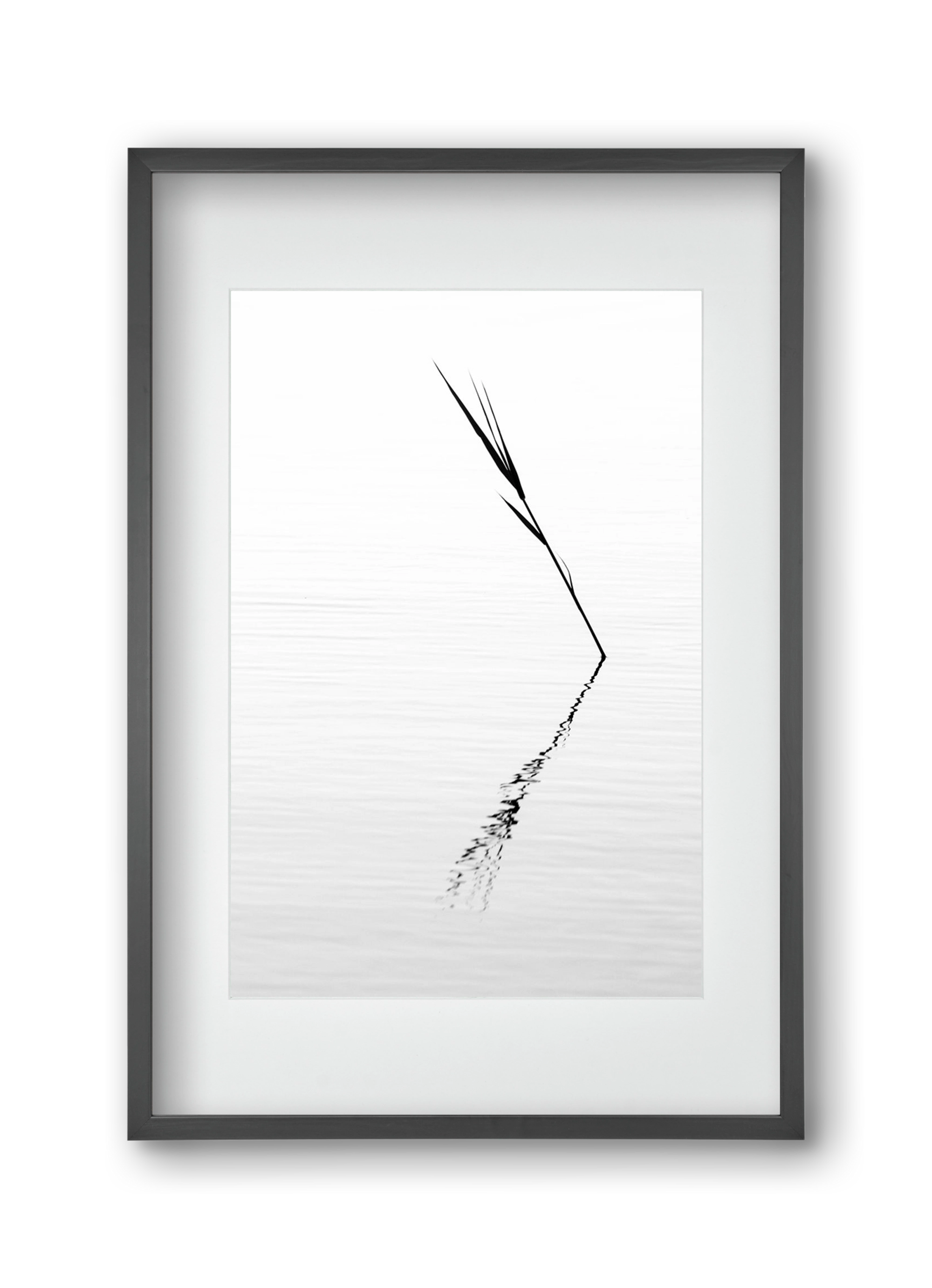 Minimál nád , 30x45 cm (20x30 cm), Fekete keret, paszpartuval