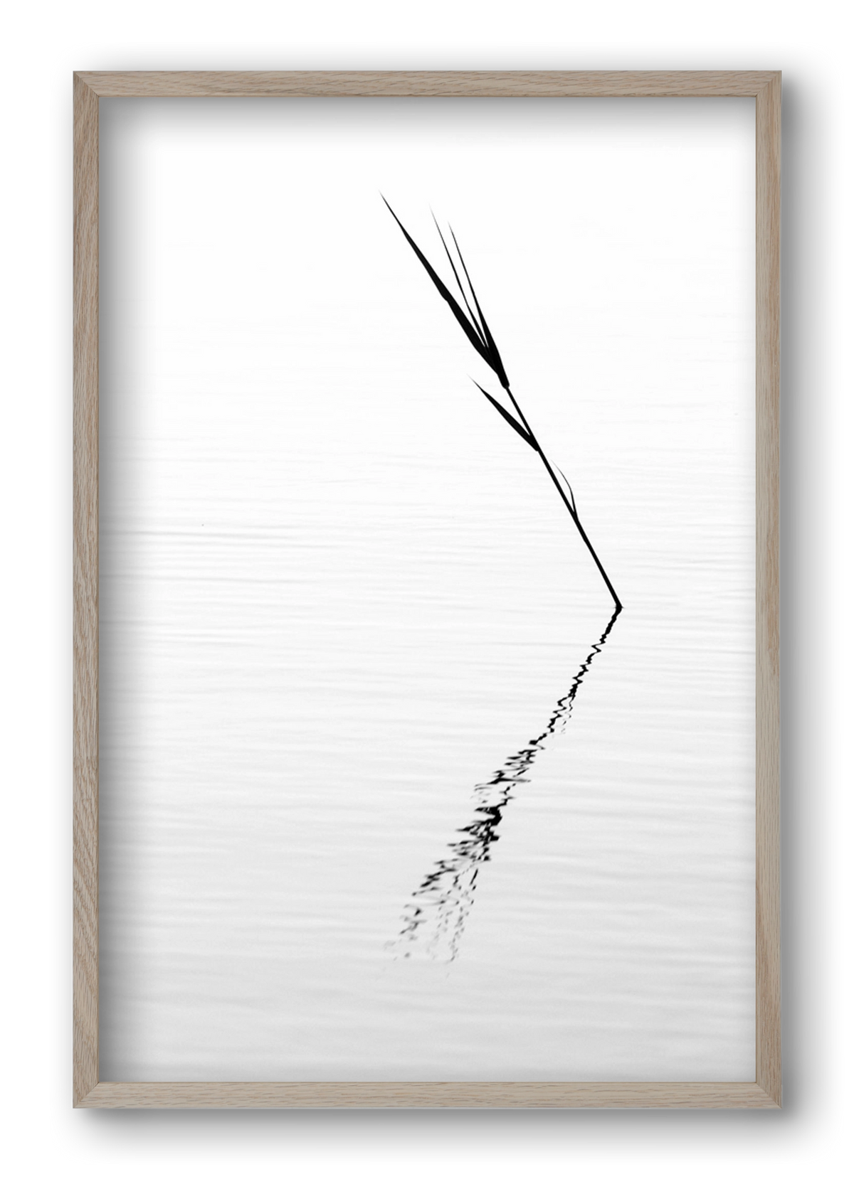 Minimál nád , 40x60 cm (40x60 cm), Tölgy keret