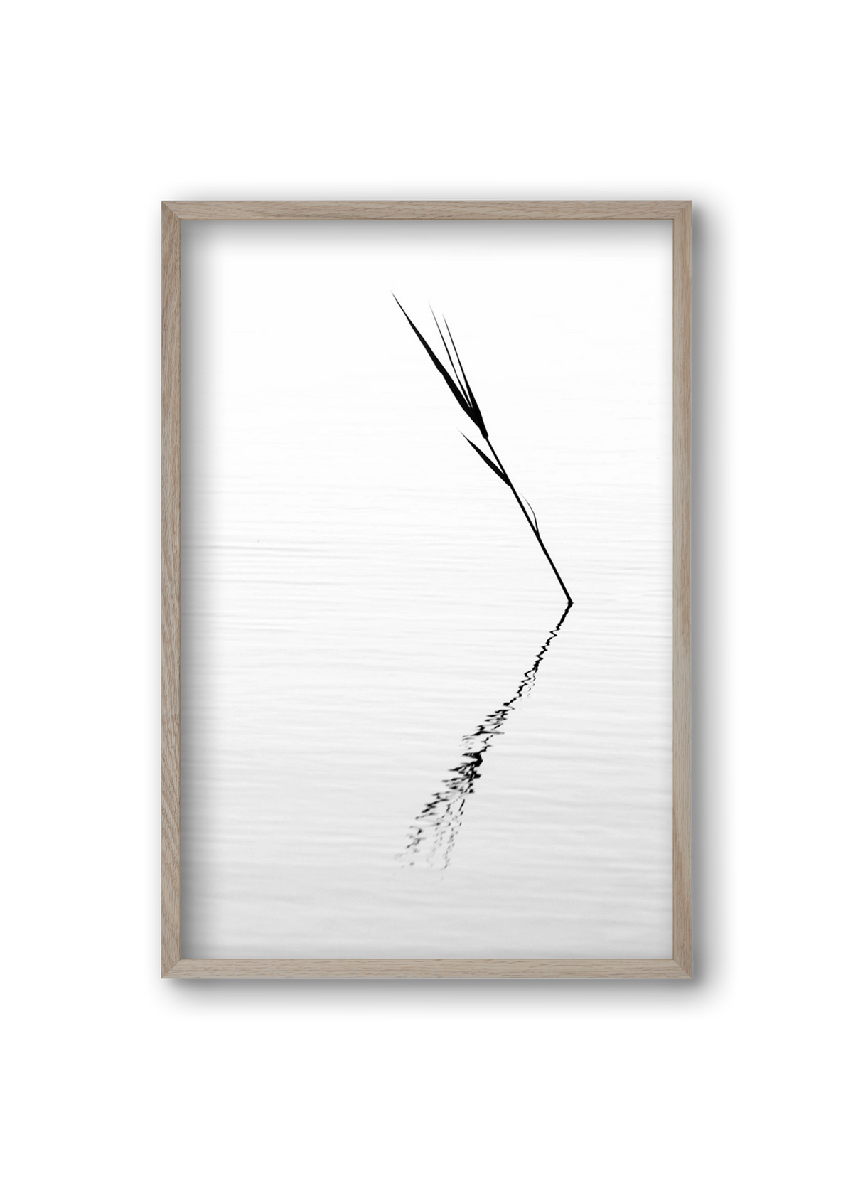 Minimál nád , 20x30 cm (20x30 cm), Tölgy keret