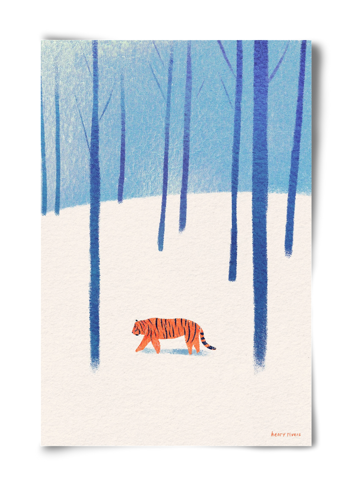 Tiger in the snow, 40x60 cm, Keret nélkül